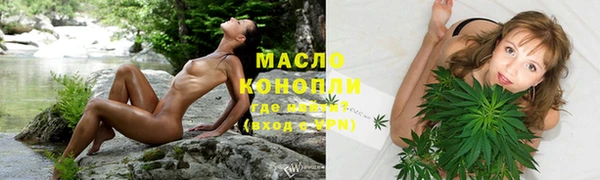 apvp Инсар