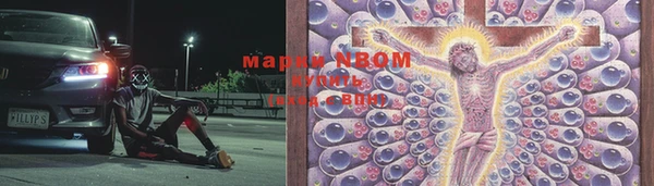 apvp Инсар