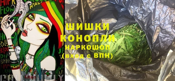 apvp Инсар