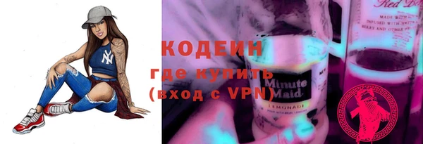 apvp Инсар