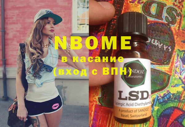 apvp Инсар