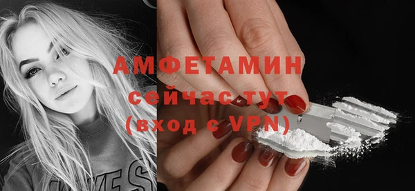 apvp Инсар