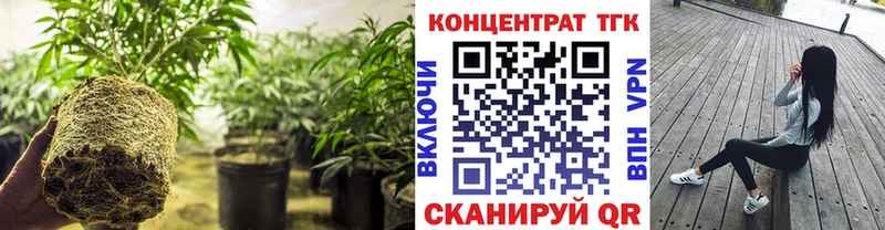 Купить закладки  Калининск  ТГК жижа 